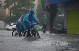 Thêm một người chết do bão số 10 tại Thanh Hóa