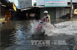 Nguy cơ ngập lụt tại các tỉnh  An Giang, Đồng Tháp, Long An