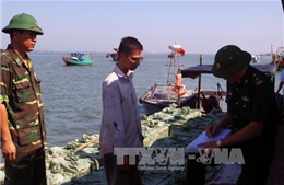 Quảng Ninh liên tiếp bắt giữ 3 vụ vận chuyển cá nhập lậu