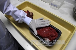 Đài Loan dỡ bỏ lệnh cấm nhập khẩu thịt bò Nhật Bản 
