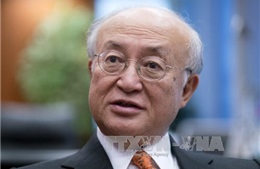 IAEA: Triều Tiên cần thực thi đầy đủ nghĩa vụ theo các nghị quyết của LHQ 