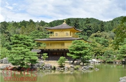 Chiêm ngưỡng ba ngôi chùa nổi tiếng ở cố đô Kyoto