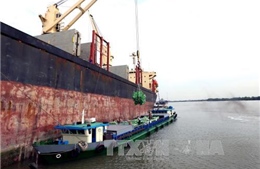 Bangladesh mời thầu quốc tế nhập khẩu 50.000 tấn gạo đồ Non-Basmati 