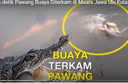 Khoe siêu năng lực, pháp sư Indonesia bị cá sấu kéo chìm nghỉm tử vong