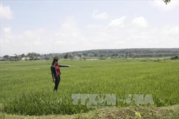 Kon Tum: Đất trồng lúa của hộ dân bỗng dưng bị &#39;xé&#39; thành nhiều sổ đỏ