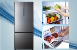 Top 5 tủ lạnh ngăn đá dưới tiện lợi khi sử dụng