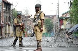 Ấn Độ: Tấn công bằng lựu đạn, 33 người thương vong 