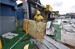Tổng thống Mỹ ban bố tình trạng thảm họa tại Puerto Rico