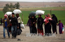 Cảnh báo IS bắt dân thường Syria làm lá chắn sống