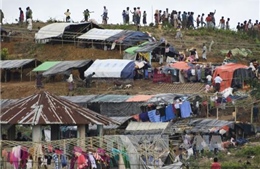 Các trại tị nạn của người Hồi giáo Rohingya trước bờ vực thảm họa
