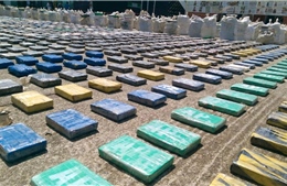 Colombia tịch thu 7 tấn cocaine, trị giá hơn 200 triệu USD