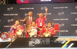 ASEAN Para Games 2017: Việt Nam giành 161 huy chương, phá 11  kỷ lục đại hội 