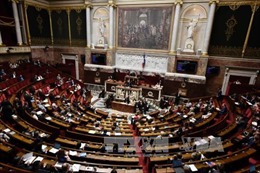 Pháp bắt đầu bầu Thượng viện