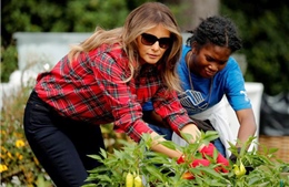 Đệ nhất phu nhân Melania Trump xắn tay làm vườn &#39;di sản&#39; của bà Obama