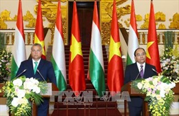 Hungary là một trong các đối tác hợp tác hiệu quả và thực chất của Việt Nam