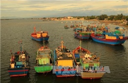 Nhà nước và doanh nghiệp cùng chống khai thác hải sản bất hợp pháp 