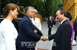 Thủ tướng Hungary kết thúc chuyến thăm chính thức Việt Nam 