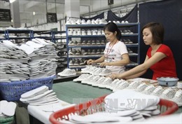 Kiên Giang đầu tư 19 tỷ đồng phát triển công nghiệp hỗ trợ