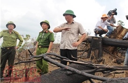 Có dấu hiệu buông lỏng quản lý trong vụ phá rừng Tiên Lãnh, Quảng Nam