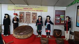 Bảo tồn và phát huy bản sắc văn hóa dân tộc Dao thời hội nhập