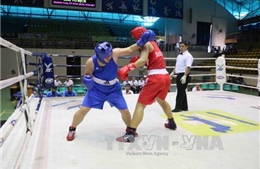 Hơn 200 vận động viên tham dự giải Boxing nam, nữ toàn quốc 2017 