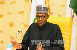Tổng thống Nigeria yêu cầu điều tra vụ sát hại 18 nông dân ở miền Bắc