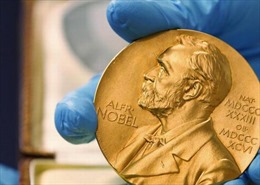 Những thông tin thú vị về giải Nobel