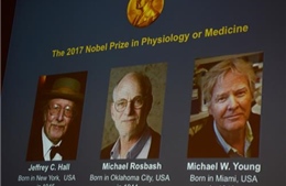 Giải Nobel Y học 2017 thuộc về &#39;nhịp sinh học&#39; của 3 nhà khoa học Mỹ