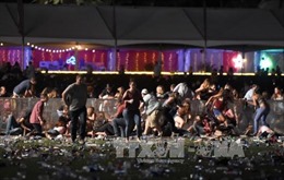 Phát hiện kho vũ khí hàng nghìn viên đạn tại nhà nghi can xả súng Las Vegas