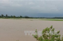 Mưa lớn gây ngập lụt nghiêm trọng tại Bà Rịa - Vũng Tàu 