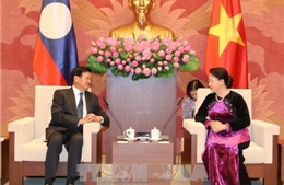 Chủ tịch Quốc hội tiếp Thủ tướng Lào Thongloun Sisoulith 