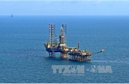 PVN: Các dự án dầu khí ở khu vực miền Trung vẫn triển khai theo kế hoạch