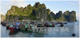 Giới thiệu và quảng bá du lịch Việt Nam tại Italy