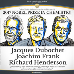 Nobel Hóa học 2017 trao cho kính hiển vi điện tử nghiệm lạnh