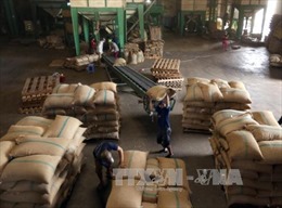 Cần Thơ lần đầu xuất khẩu gạo sang Iran