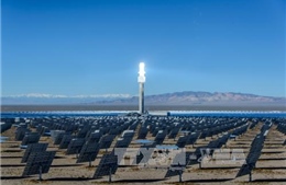 Argentina xây dựng nhà máy điện Mặt Trời lớn nhất Mỹ Latinh