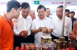 Phó Thủ tướng Trịnh Đình Dũng thăm Hội chợ Cá tra và các sản phẩm thủy sản Việt Nam 