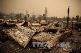 15 người chết, 150 người mất tích vì cháy rừng California