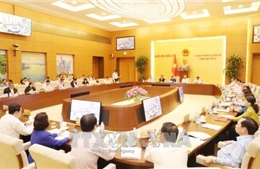 Cử tri bức xúc về vụ việc nhập khẩu thuốc của VN Pharma