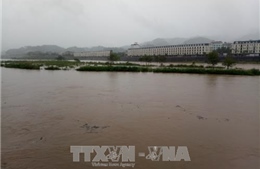 Lào Cai: Mưa trên diện rộng, lũ bất ngờ dâng cao 