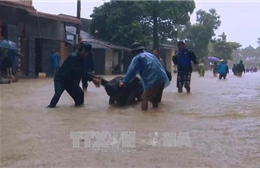 Thanh Hóa: 11 người chết và mất tích do mưa lũ