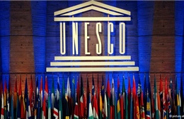 Việt Nam rút khỏi cuộc đua trước giờ bỏ phiếu vòng 3 Tổng Giám đốc UNESCO