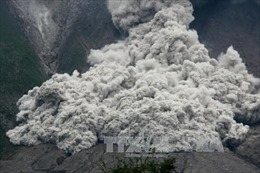 Núi lửa phun trào tại Nhật Bản, tro bụi bao trùm 3 thành phố