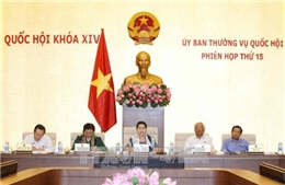 Lấy ổn định kinh tế vĩ mô, phát triển bền vững là mục tiêu chính