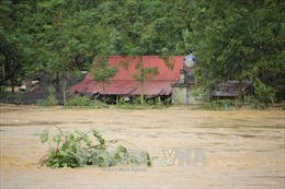 Phú Thọ: Hàng trăm ngôi nhà chìm trong nước do mưa lũ