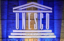 Đồng minh Anh, Pháp phản ứng trước việc Mỹ rút khỏi UNESCO 