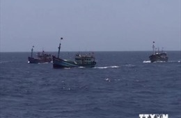 Malaysia thông báo bắt giữ 10 ngư dân Việt Nam 