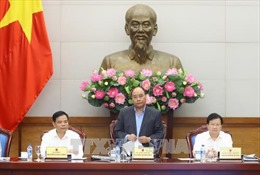 Thủ tướng Nguyễn Xuân Phúc: Kiểm điểm, làm rõ trách nhiệm để xảy ra tình trạng phá rừng 