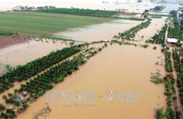 Sụt lún mái kè trên đê tả sông Luộc tại Hưng Yên