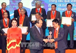 Tự hào nông dân Việt Nam 30 năm đổi mới